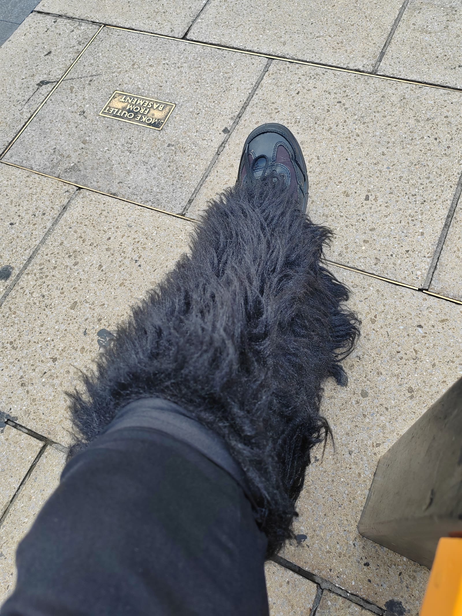 A very committed black fluffy legwarmer and black shoe making a pavement statement.